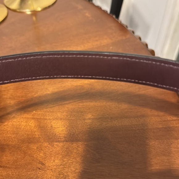 Authentic limited edition custom COACH, real python, new - Picture 10 of 14